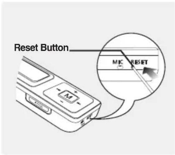 Reset Button MIC RESET