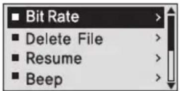 Bit Rate Delete File Resume Beep
