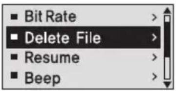 Bit Rate Delete File Resume Beep