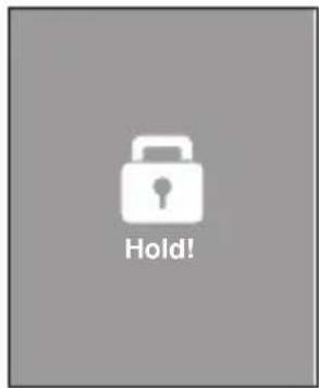 Hold!