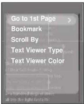 Go to 1st Page Bookmark Scroll By Text Viewer Type Text Viewer Color