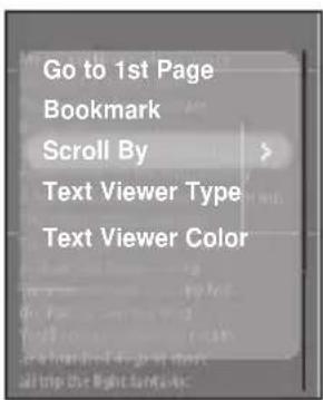 Go to 1st Page Bookmark Scroll By Text Viewer Type Text Viewer Color