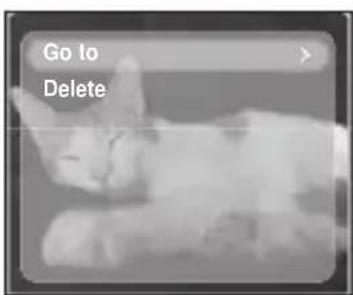 Go to Delete