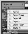 SAMSUNG YP-T8Q/ELS - | Play Mode - 7