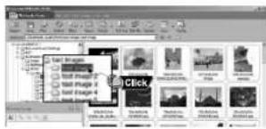 Text Image Text Image 2 Text Image 3 Text Image 4 Click