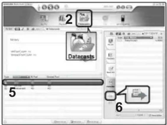 2 Datacasts 5 6