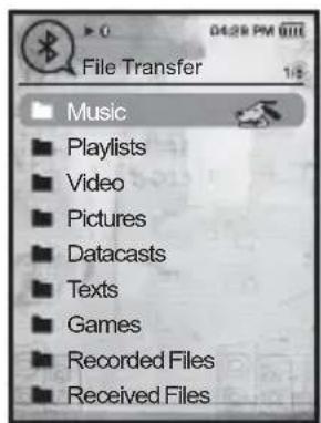 File Transfer Music ■ Playlists ■ Video ■ Pictures ■ Datacasts ■ Texts ■ Games ■ Recorded Files ■ Received Files