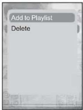 Add to Playlist Delete