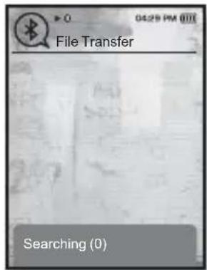 File Transfer Searching (0)