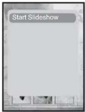 Start Slideshow