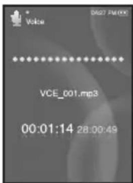 Voice VCE_001.mp3 00:01:14 28:00:49