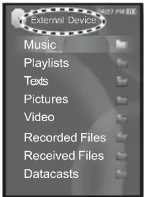 External Device Music Playlists Texts Pictures Video Recorded Files Received Files Datacasts