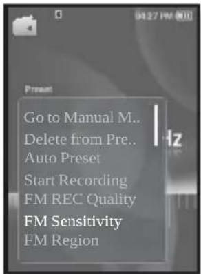 Go to Manual M.. Delete from Pre.. Auto Preset Start Recording FM REC Quality FM Sensitivity FM Region