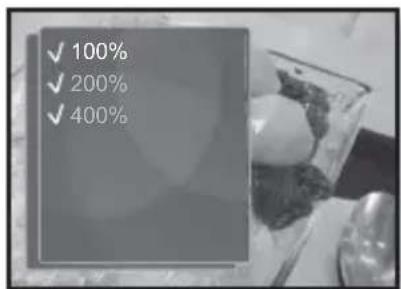 ✓ 100% ✓ 200% ✓ 400%