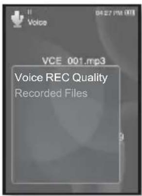 Voice VCE 001.mp3 Voice REC Quality Recorded Files