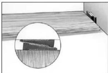 Interior view of a wooden floor with a magnified inset showing a small object on the surface (no text or symbols)