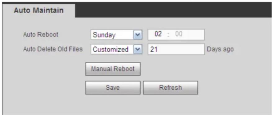 Auto Maintain Auto Reboot Sunday 02 : 00 Auto Delete Old Files Customized 21 Days ago Manual Reboot Save Refresh