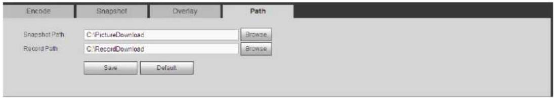 Encode Snapshot Overlay Path Snapshot Path C:\PictureDownload Browse Record Path C:\RecordDownload Browse Save Default