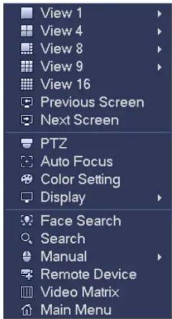 View 1 View 4 View 8 View 9 View 16 Previous Screen Next Screen PTZ Auto Focus Color Setting Display Face Search Search Manual Remote Device Video Matrix Main Menu