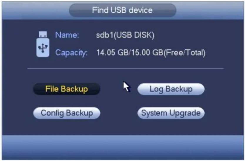 Find USB device Name: sdb1(USB DISK) Capacity: 14.05 GB/15.00 GB(Free/Total) File Backup Config Backup Log Backup System Upgrade