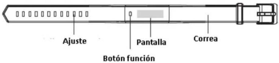 Ajuste Pantalla Correa Botón función