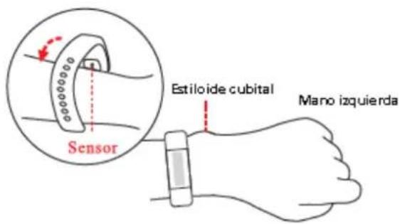 Sensor Estiloide cubital Mano izquierda
