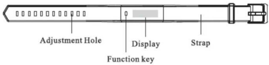 Adjustment Hole Display Strap Function key
