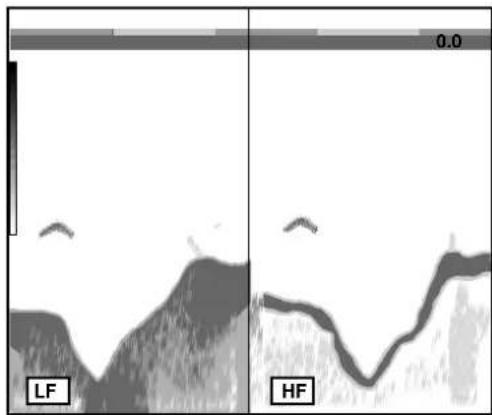 LF HF 0.0