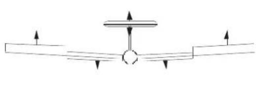 FUTUBA 9CAF - Adjustability: - 2