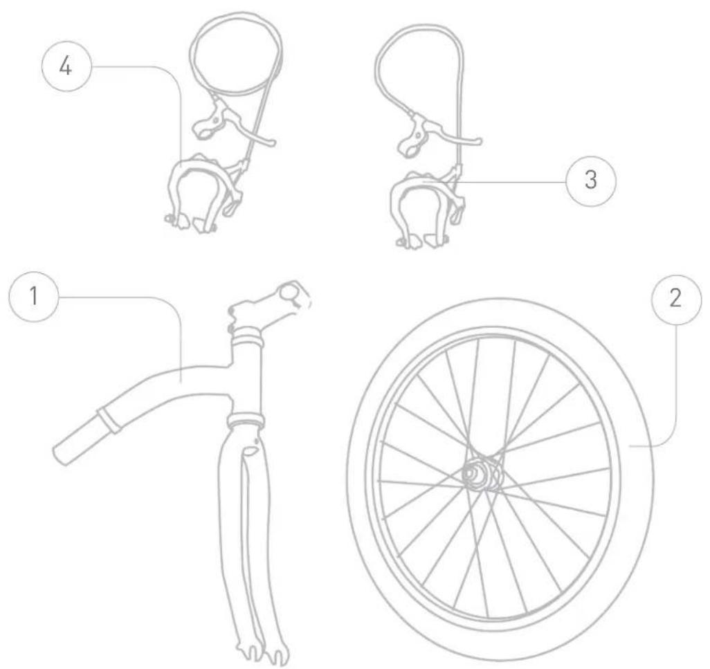 Burley Plus - Important - 1