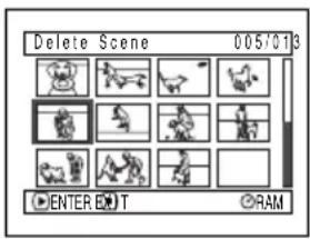 Delete Scene 0057013 ENTER EHT RAM