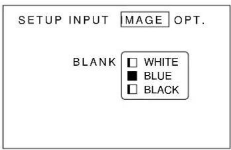 SETUP INPUT IMAGE OPT. BLANK □ WHITE ■ BLUE □ BLACK