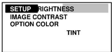 SETUP RIGHTNESS IMAGE CONTRAST OPTION COLOR TINT