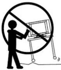 Palsonic TFTV765 - Important Safety Cautions - 8