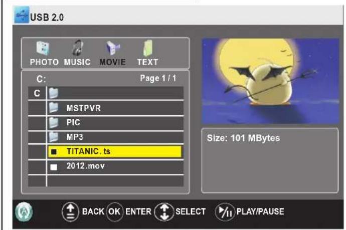 Palsonic TFTV663R - Using USB Multi Media Player (Continued) - 1