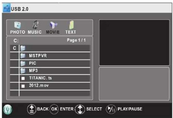 Palsonic TFTV663R - Playing movie - 1
