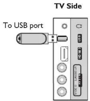 Palsonic TFTV663R - USB connection - 1