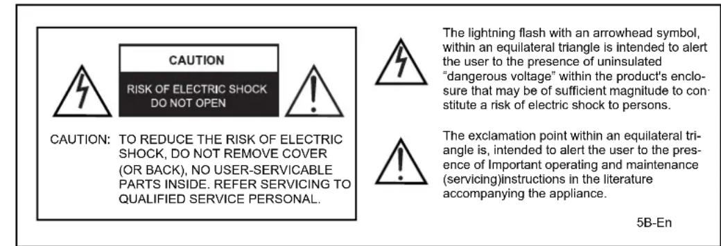 Palsonic TFTV3835DT - Important Safety Instructions - 1