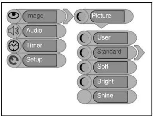 Palsonic TFTV2035BK - Picture Setup - 1