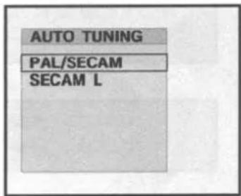 Palsonic TFTV201 - Storing the Channels Automatically - 3