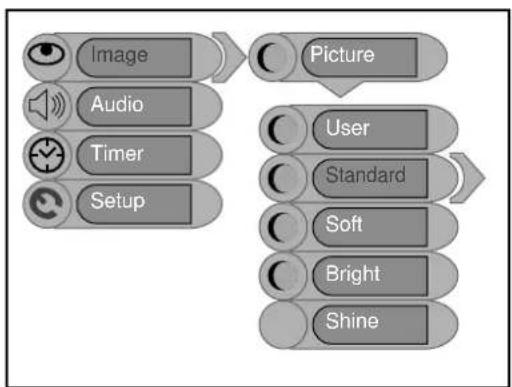 Palsonic TFTV1520D - Picture Setup - 1