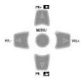 Palsonic TFTV106HDT - Adjustment of the Auto setup - 1