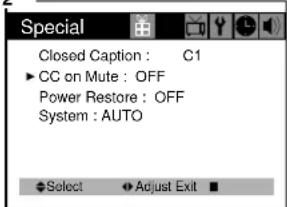 DAEWOO DTH-14 V4FSN - CC on Mute - 2