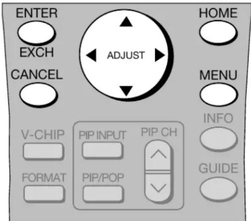 ENTER EXCH CANCEL V-CHIP FORMAT ADJUST HOME MENU INFO PIP INPUT PIP CH PIP/POP GUIDE