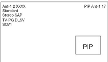 Ant-1 2 XXXX Standard Stereo SAP TV-PG DLSV SQV1 PIP Ant-1 17 PIP