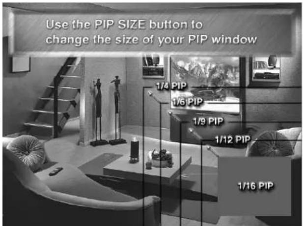 Use the PIP SIZE button to change the size of your PIP window 1/4 PIP 1/6 PIP 1/9 PIP 1/12 PIP 1/16 PIP