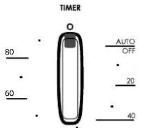 TIMER 80 60 AUTO OFF 20 40