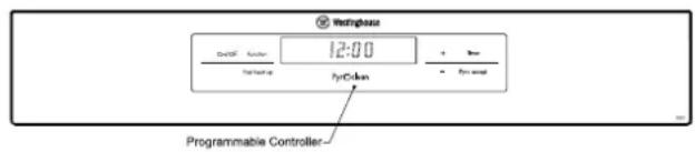 Wetingbase 12:00 Power-up HyColor Programmable Controller