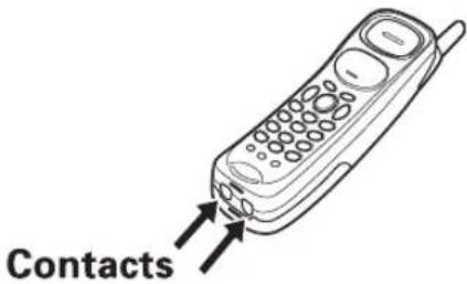 Contacts