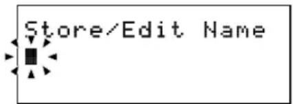 Store/Edit Name